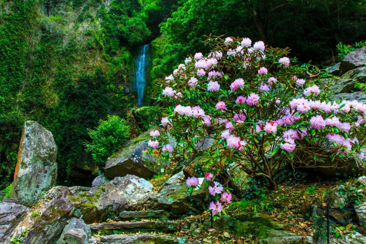 🏞️ 우라미노 폭포 자연 화원(우라미노타키 시젠카엔) 이미지 4